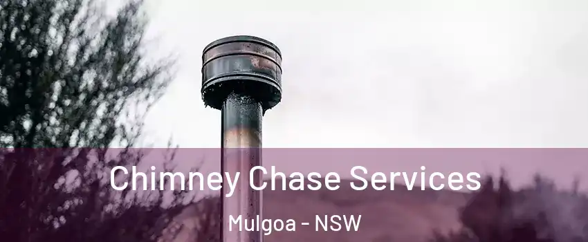 Chimney Chase Services Mulgoa - NSW