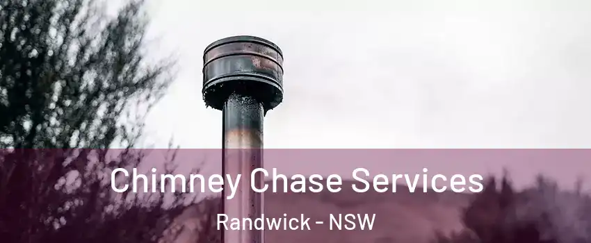 Chimney Chase Services Randwick - NSW