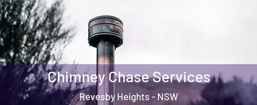 Chimney Chase Services Revesby Heights - NSW