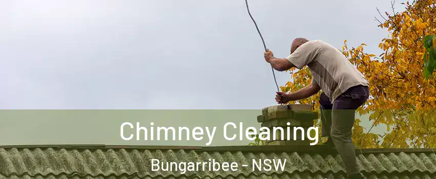  Chimney Cleaning Bungarribee - NSW
