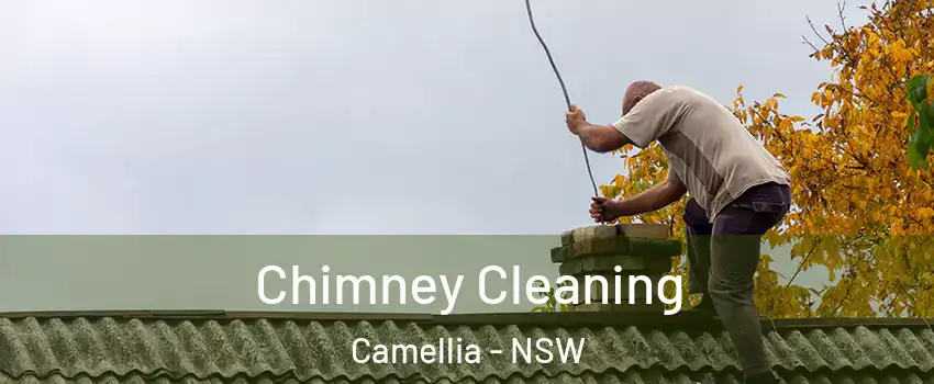 Chimney Cleaning Camellia - NSW
