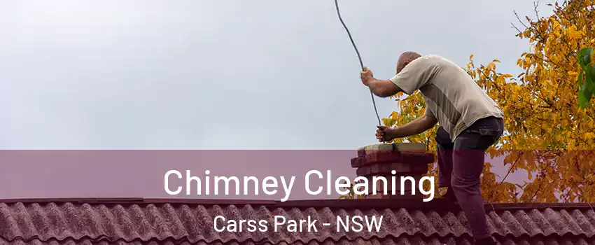 Chimney Cleaning Carss Park - NSW