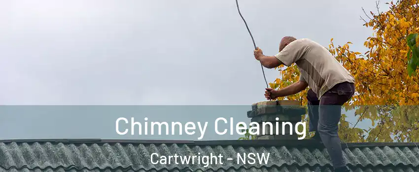 Chimney Cleaning Cartwright - NSW