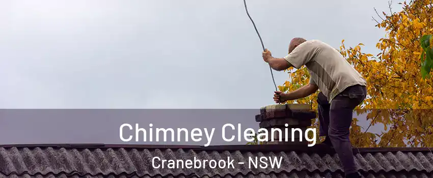 Chimney Cleaning Cranebrook - NSW