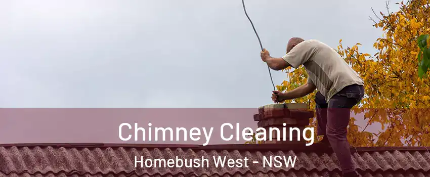 Chimney Cleaning Homebush West - NSW