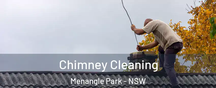 Chimney Cleaning Menangle Park - NSW
