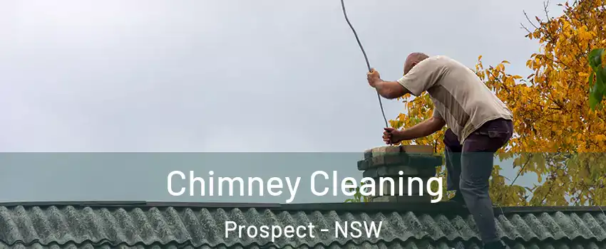 Chimney Cleaning Prospect - NSW