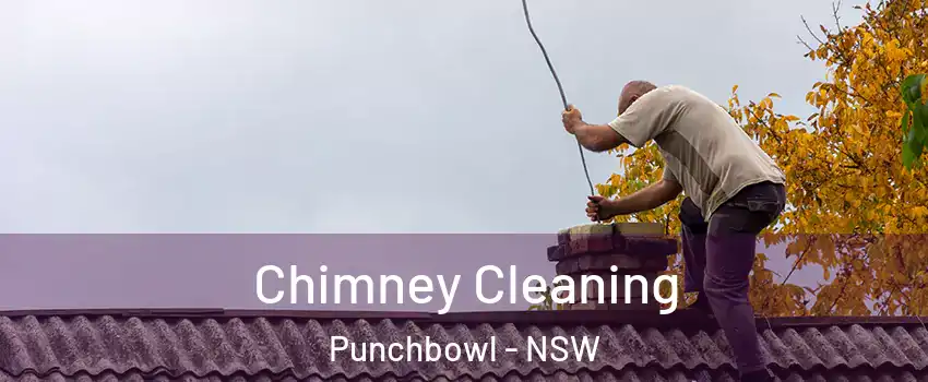 Chimney Cleaning Punchbowl - NSW