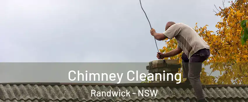 Chimney Cleaning Randwick - NSW