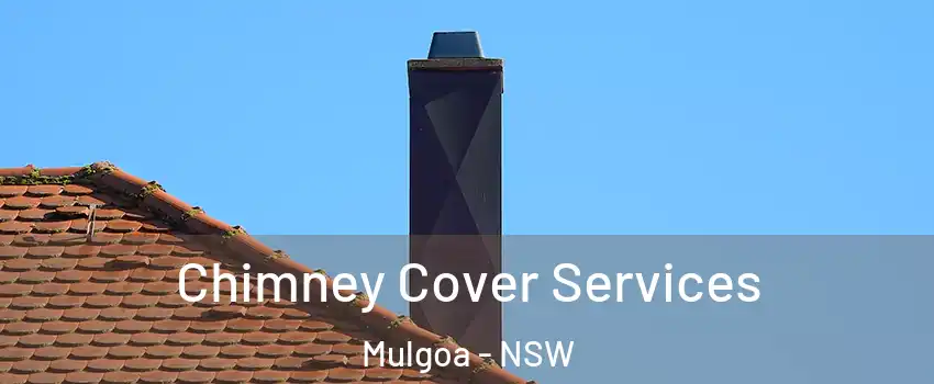 Chimney Cover Services Mulgoa - NSW