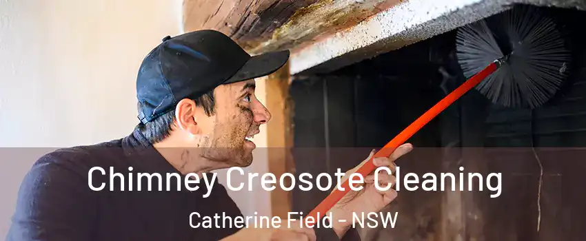 Chimney Creosote Cleaning Catherine Field - NSW