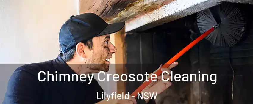 Chimney Creosote Cleaning Lilyfield - NSW