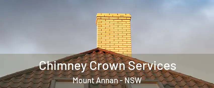 Chimney Crown Services Mount Annan - NSW