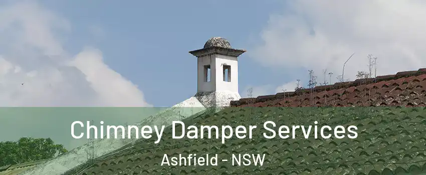 Chimney Damper Services Ashfield - NSW