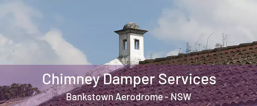 Chimney Damper Services Bankstown Aerodrome - NSW