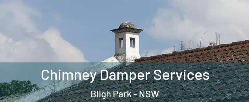 Chimney Damper Services Bligh Park - NSW