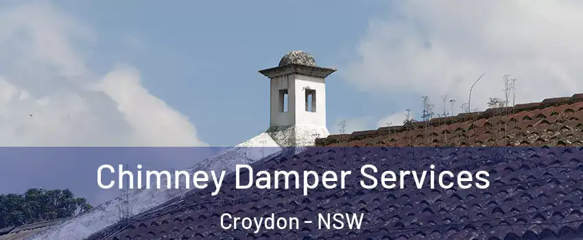 Chimney Damper Services Croydon - NSW