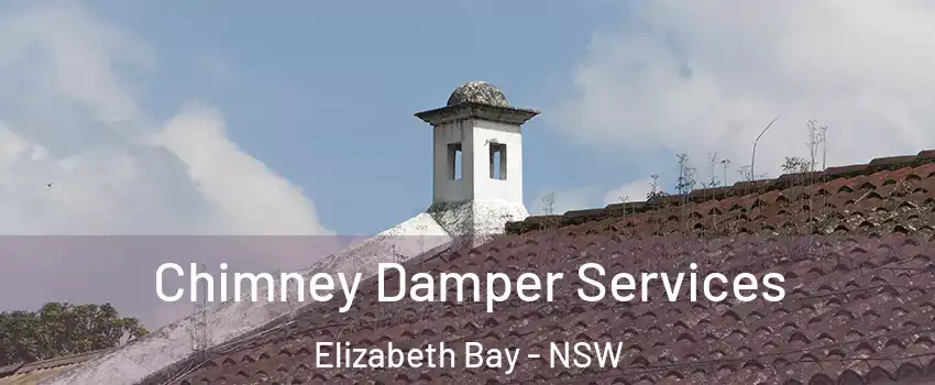 Chimney Damper Services Elizabeth Bay - NSW