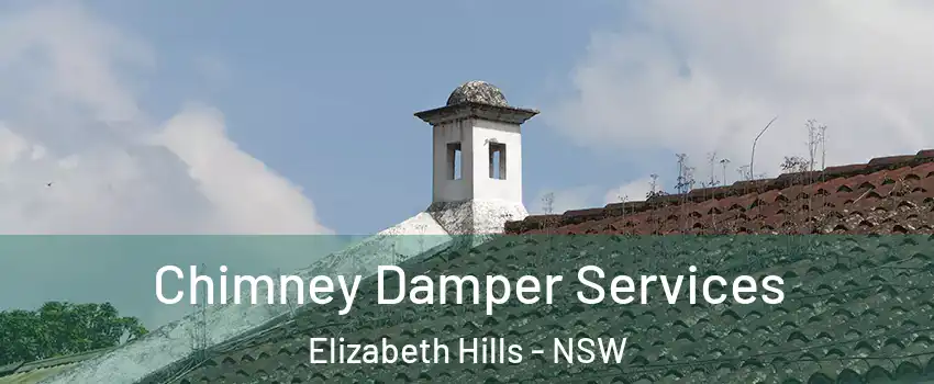 Chimney Damper Services Elizabeth Hills - NSW