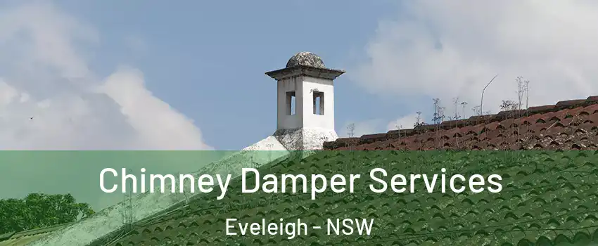 Chimney Damper Services Eveleigh - NSW