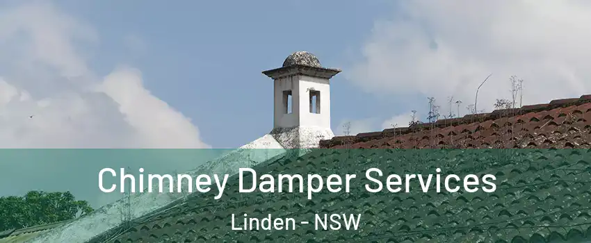 Chimney Damper Services Linden - NSW