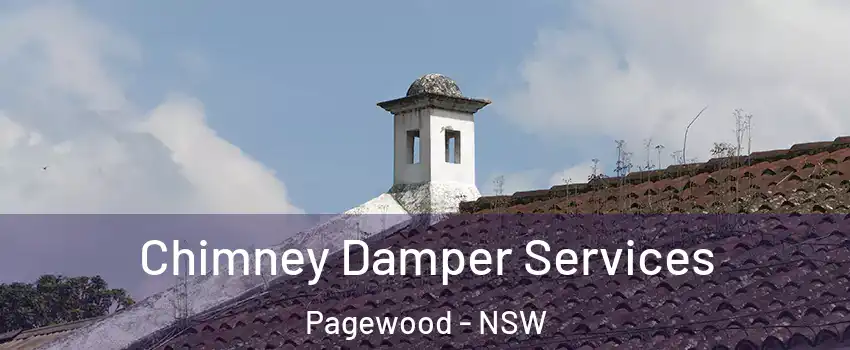 Chimney Damper Services Pagewood - NSW