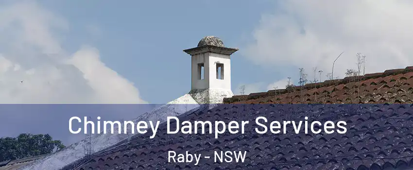 Chimney Damper Services Raby - NSW