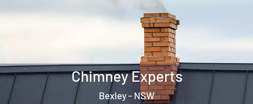 Chimney Experts Bexley - NSW