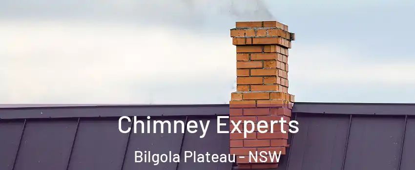 Chimney Experts Bilgola Plateau - NSW