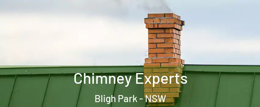 Chimney Experts Bligh Park - NSW