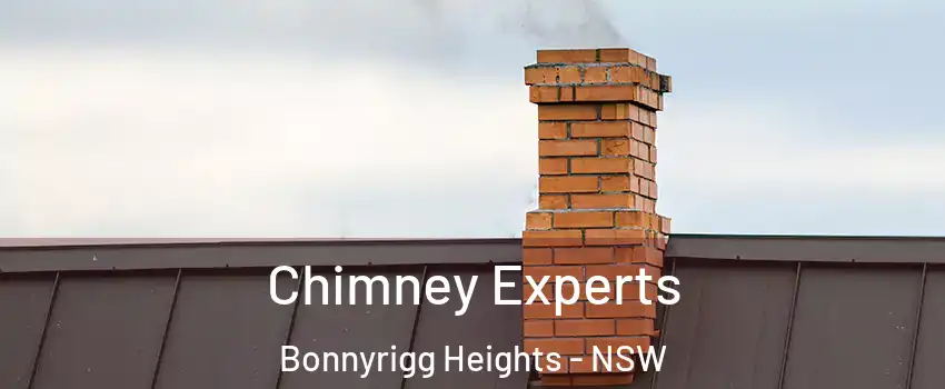 Chimney Experts Bonnyrigg Heights - NSW