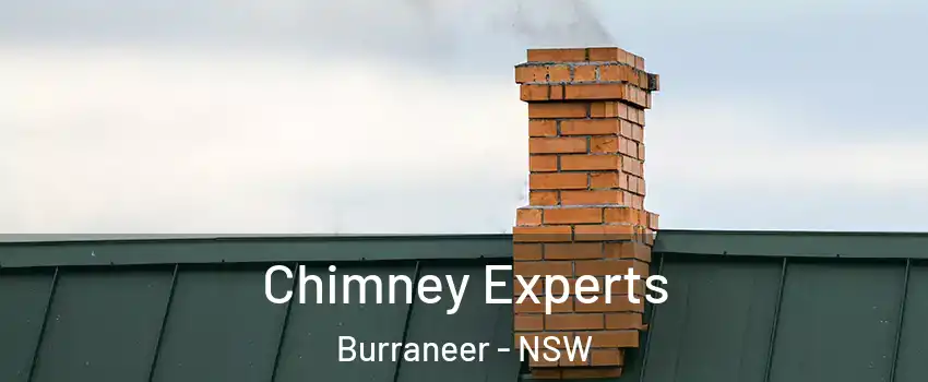 Chimney Experts Burraneer - NSW