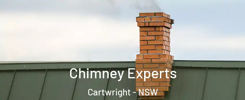 Chimney Experts Cartwright - NSW