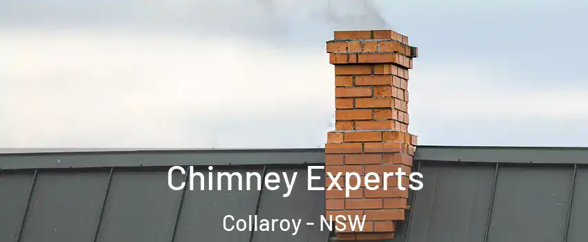 Chimney Experts Collaroy - NSW