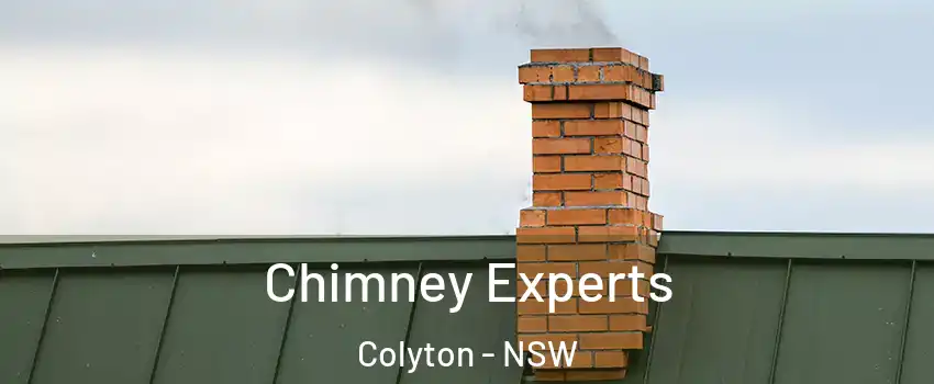  Chimney Experts Colyton - NSW