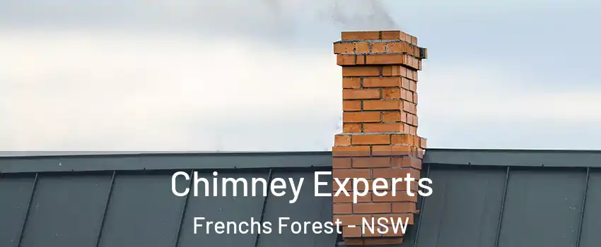 Chimney Experts Frenchs Forest - NSW