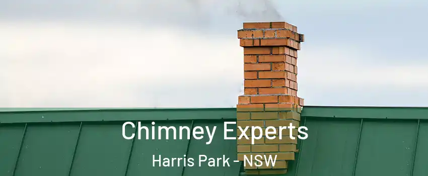 Chimney Experts Harris Park - NSW