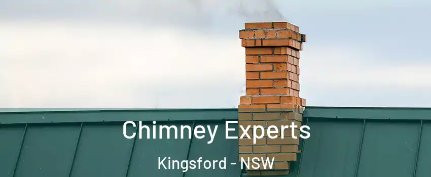 Chimney Experts Kingsford - NSW