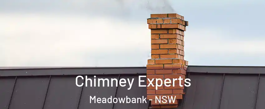 Chimney Experts Meadowbank - NSW