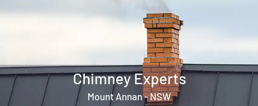 Chimney Experts Mount Annan - NSW