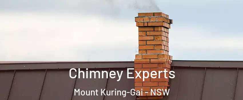 Chimney Experts Mount Kuring-Gai - NSW