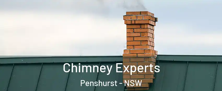 Chimney Experts Penshurst - NSW