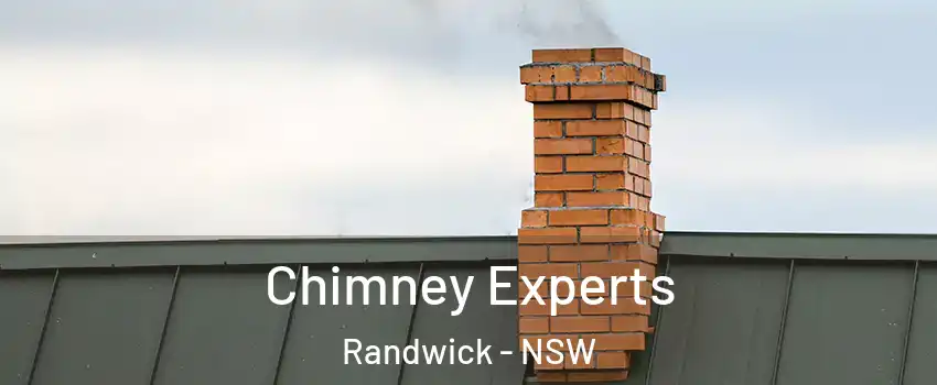 Chimney Experts Randwick - NSW