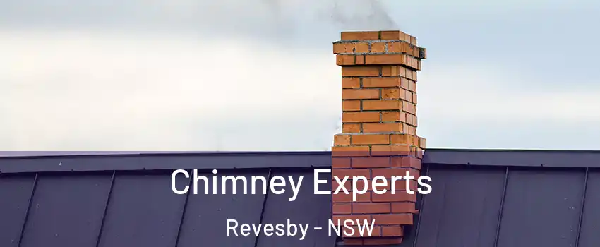 Chimney Experts Revesby - NSW
