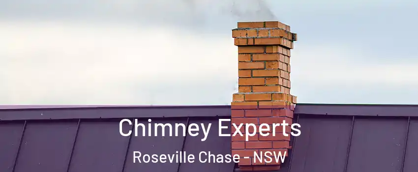 Chimney Experts Roseville Chase - NSW