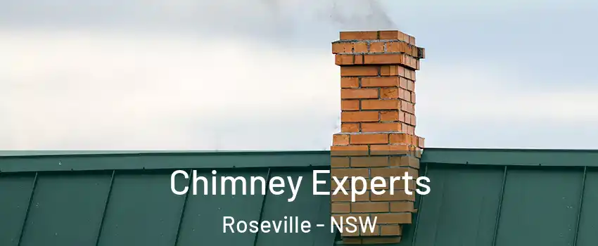 Chimney Experts Roseville - NSW