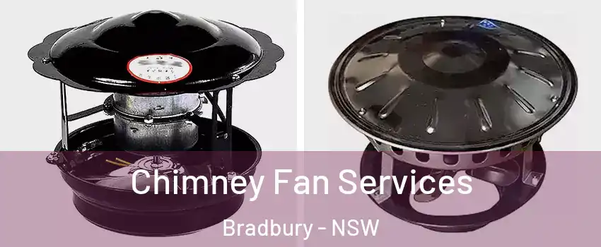 Chimney Fan Services Bradbury - NSW