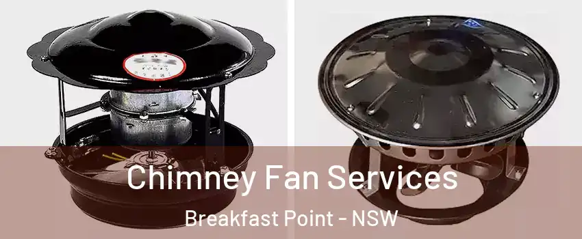 Chimney Fan Services Breakfast Point - NSW