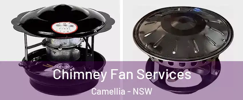 Chimney Fan Services Camellia - NSW