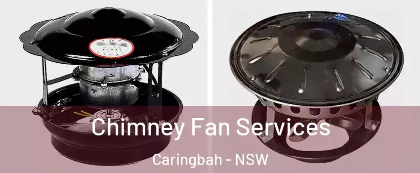 Chimney Fan Services Caringbah - NSW